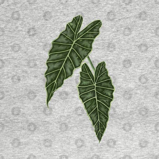 Alocasia Polly Green Leaves by gronly